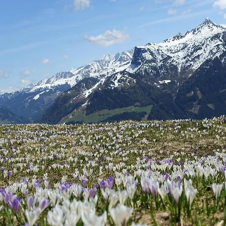 Vakantiehuis Group In With Dreamy Views