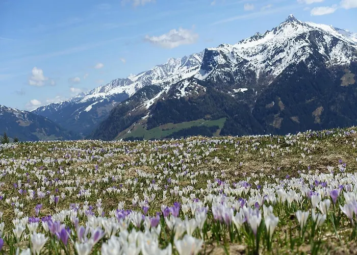 Ferienhaus Group In With Dreamy Views